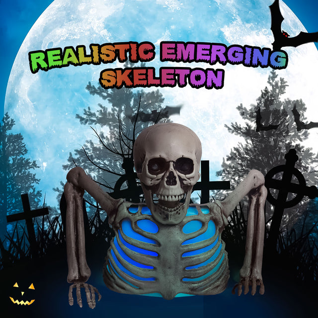 10" Colorful Groundbreaker Skeleton