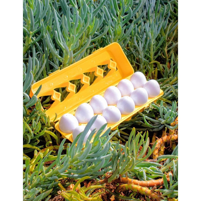12 PCS Matching Easter Egg Set - PopFun