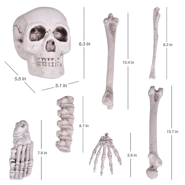 Bag of Bones | PopFun