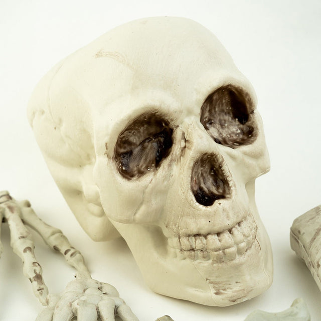 Bag of Bones - PopFun