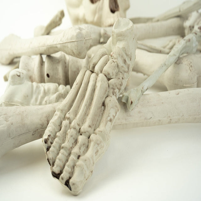 Bag of Bones - PopFun