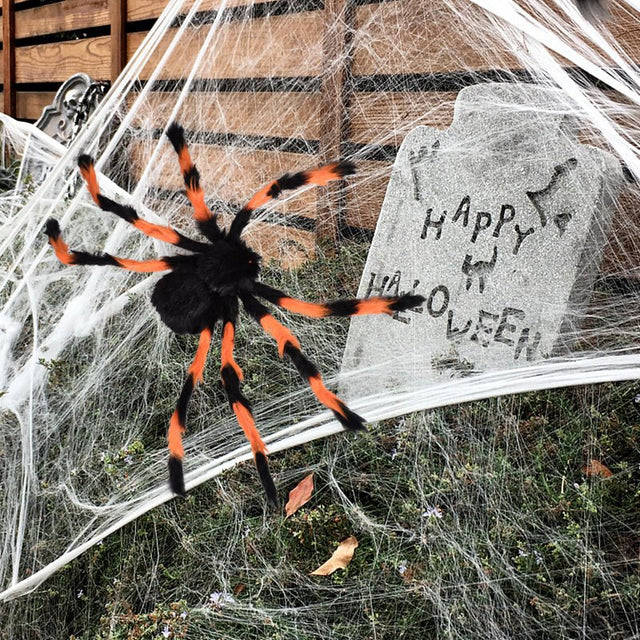 Giant Orange and Black Widow Haven - PopFun