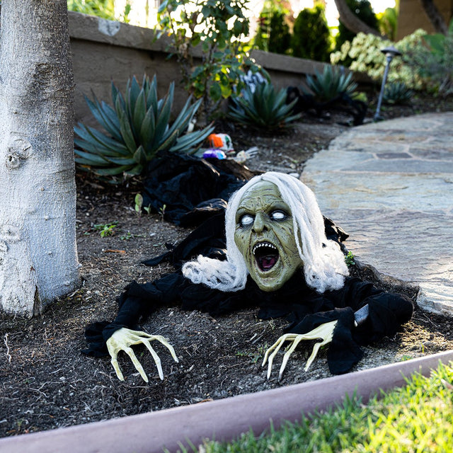 Groundbreaker Zombie - PopFun