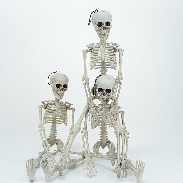Hanging Skeleton Decorations - PopFun