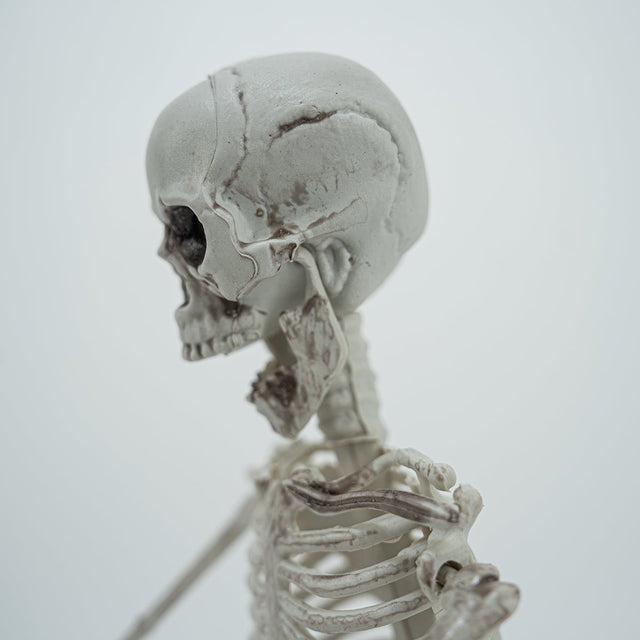 Hanging Skeleton Decorations - PopFun