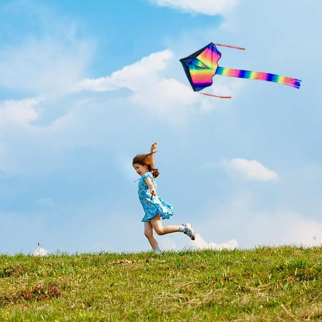 Krazy Kites Rainbow And Squid - PopFun