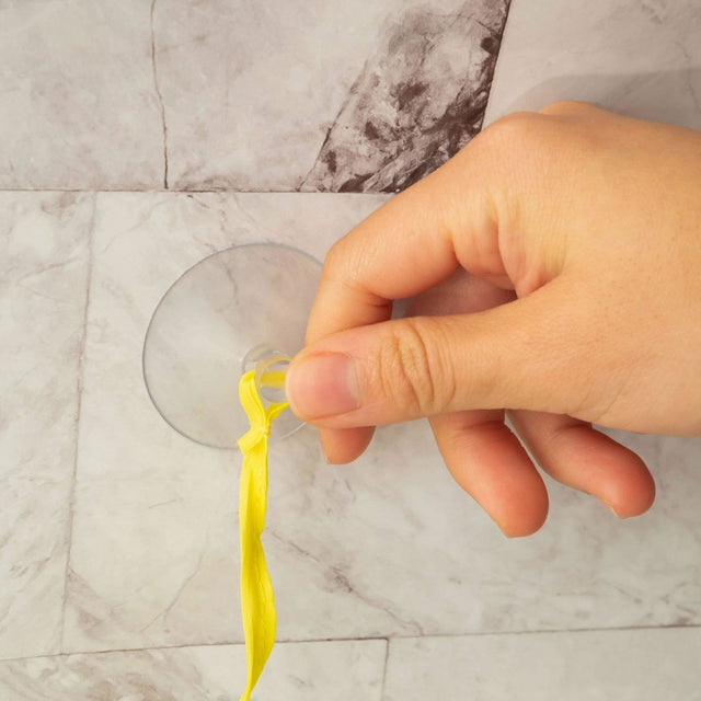 Paradise Bathtub Toy - PopFun