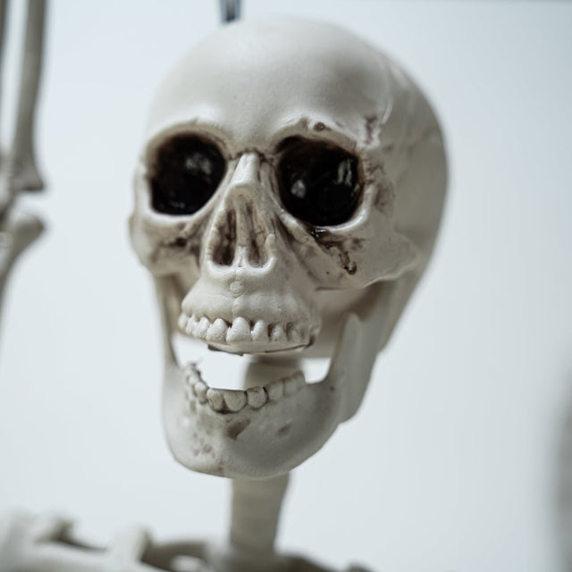 Posable Hanging Skeleton - PopFun