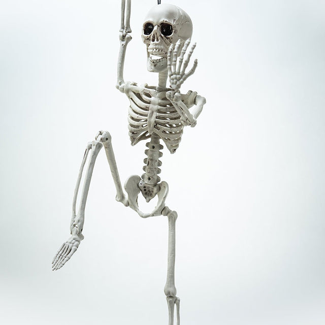Posable Hanging Skeleton - PopFun