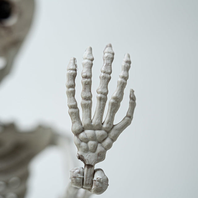 Posable Hanging Skeleton - PopFun