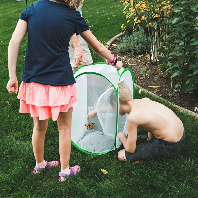 Rectangular Butterfly Habitat Hamper - PopFun