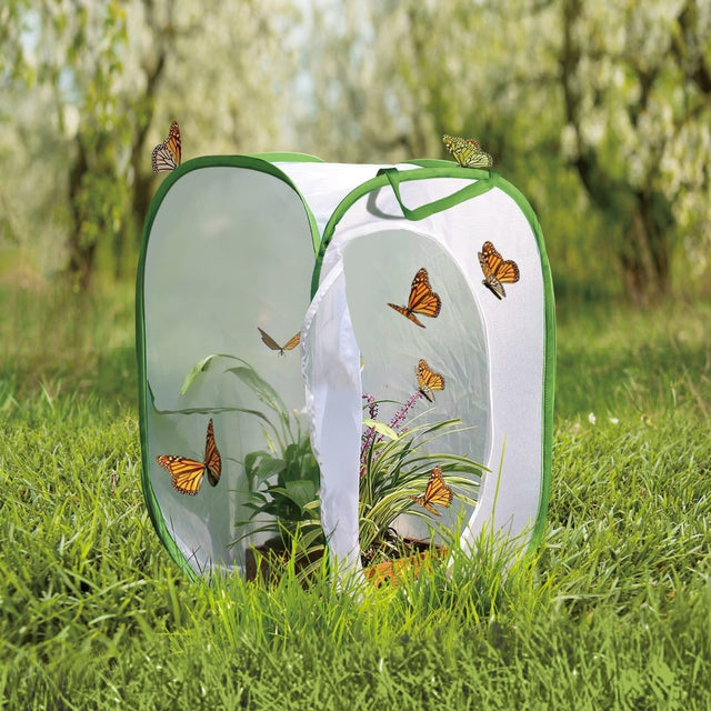 Rectangular Butterfly Habitat Hamper - PopFun