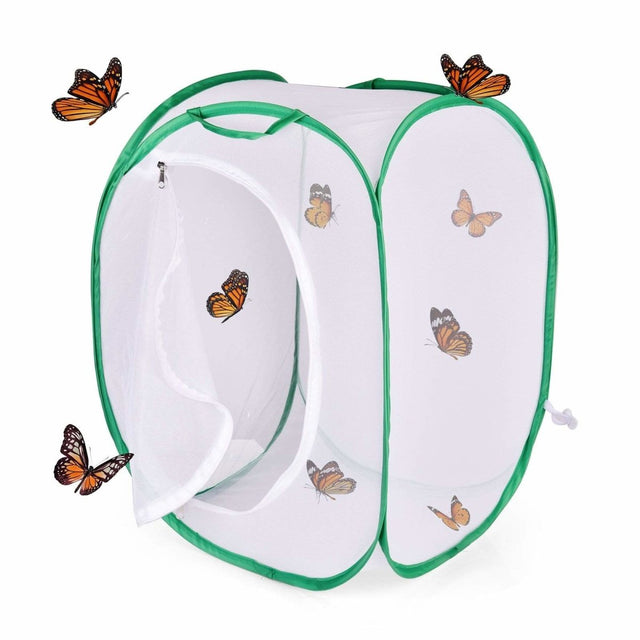 Rectangular Butterfly Habitat Hamper - PopFun
