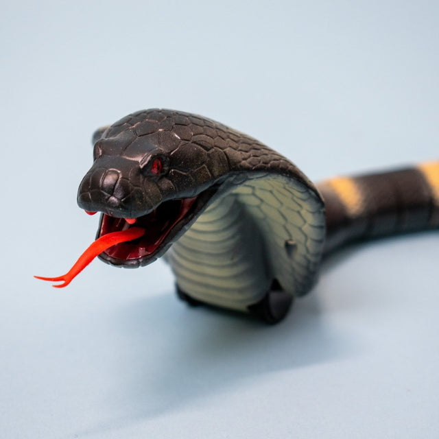 Remote Control Snake Toy for Kids - PopFun