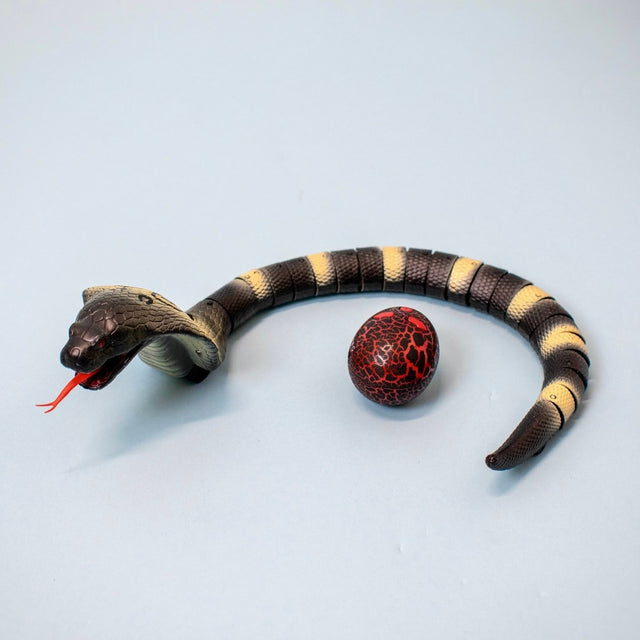 Remote Control Snake Toy for Kids - PopFun