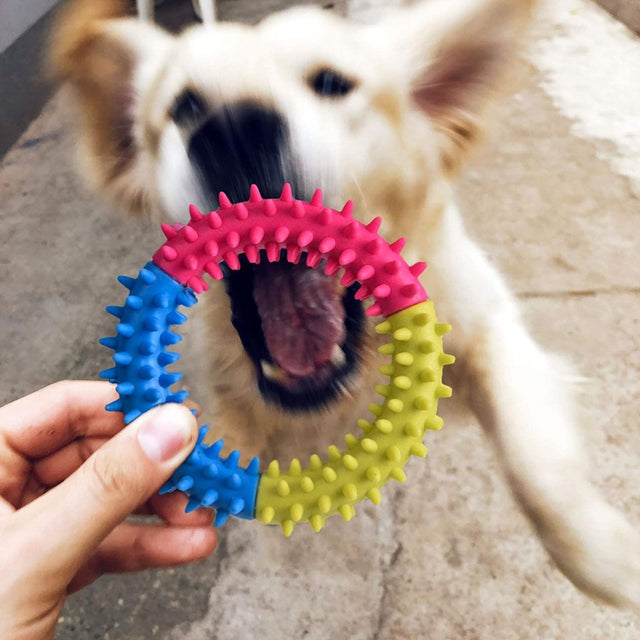 Rope and Slippers Chew Toy Set for Pets - PopFun
