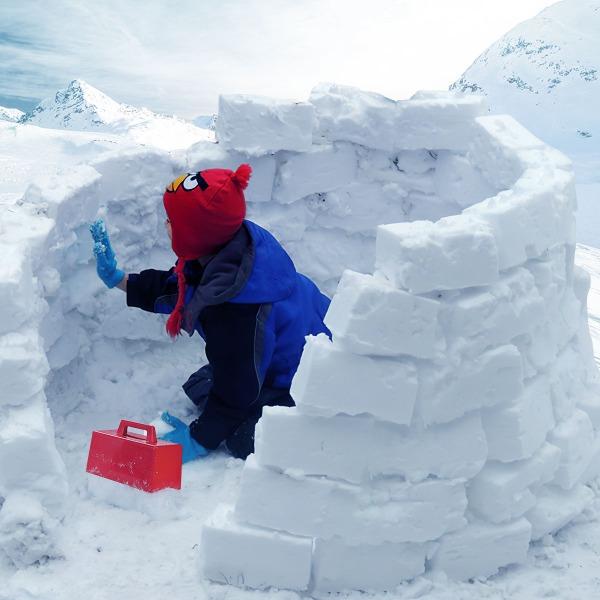 The Snow Fort Construction Kit - PopFun