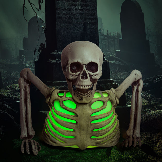10" Colorful Groundbreaker Skeleton