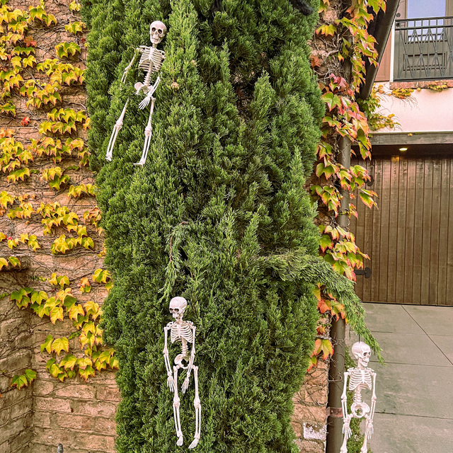 Hanging Skeleton Decorations