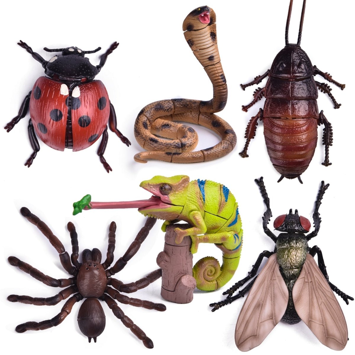 6 Pack 3D Insect Puzzle | Fun Little Toys – funlittletoys