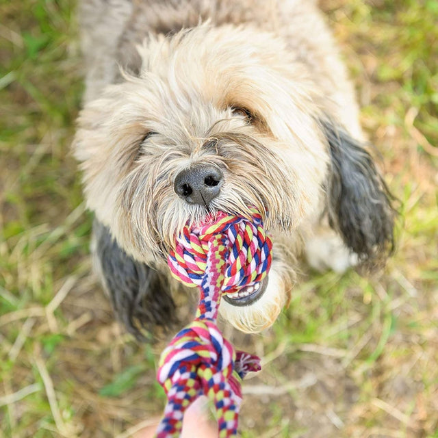 7 Pcs Chew Toy Set for Pets | PopFun