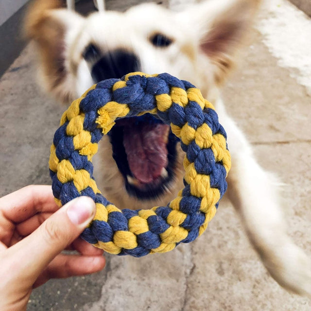 7 Pcs Cute Chew Toy Set for Pets | PopFun
