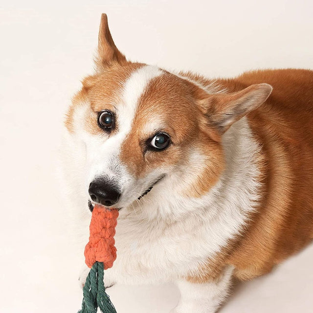 7 Pcs Cute Chew Toy Set for Pets-Wholesale | PopFun