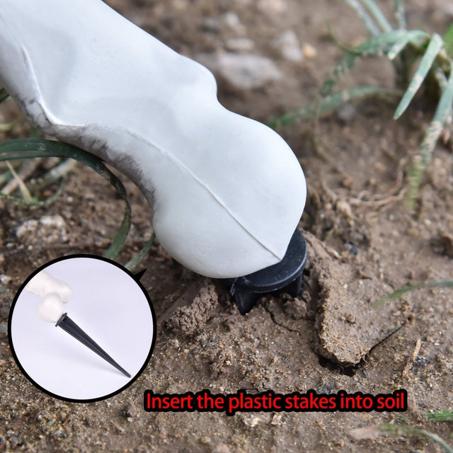 Buried Skeleton | PopFun