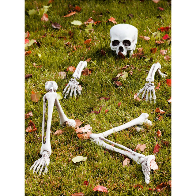 Buried Skeleton | PopFun