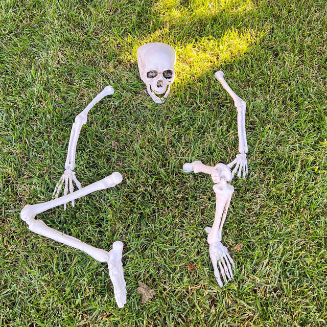 Buried Skeleton - PopFun