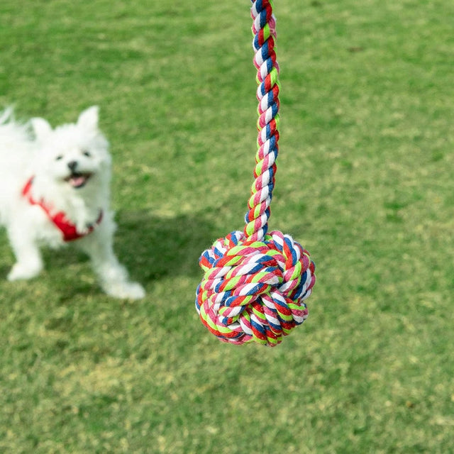 Chew Toy Set for Pets | PopFun