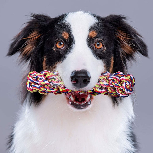 Chew Toy Set for Pets | PopFun