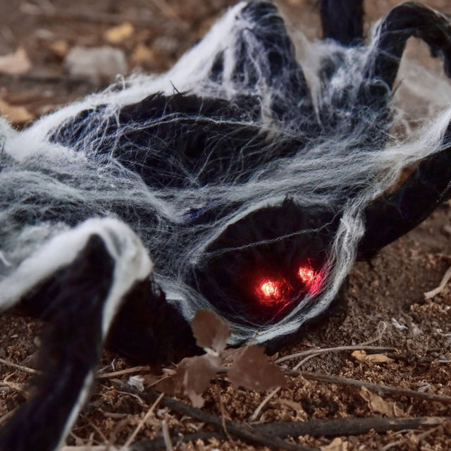 Crawling Red-Eyed Spider with Web | PopFun