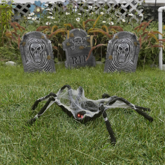 Crawling Red-Eyed Spider with Web | PopFun
