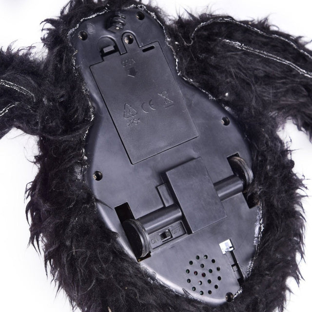 Crawling Spider | PopFun