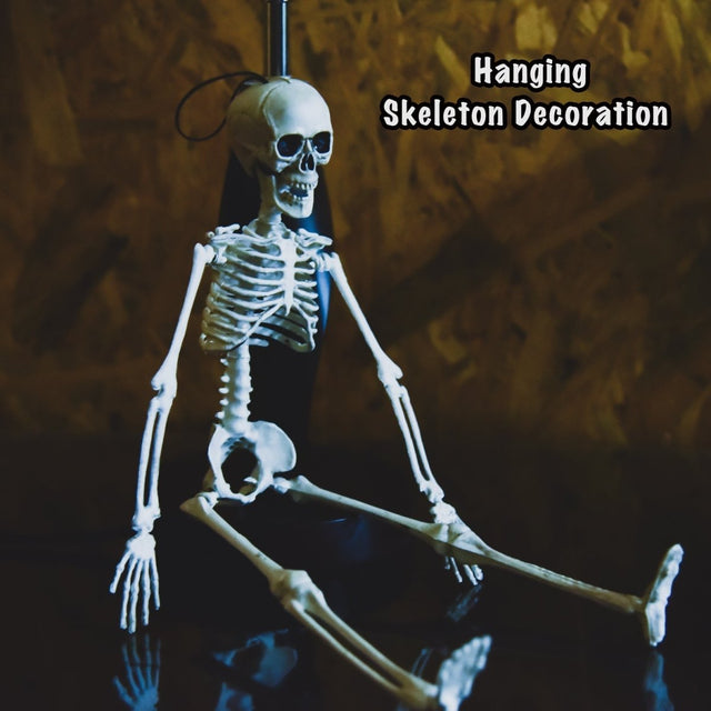 Hanging Skeleton Decorations - PopFun