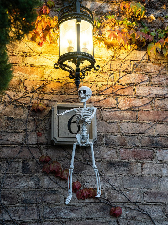 Posable Hanging Skeleton - PopFun