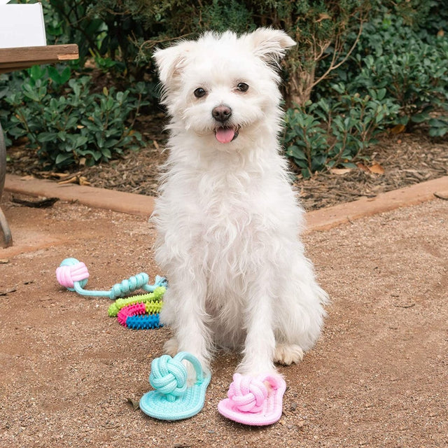Rope and Slippers Chew Toy Set for Pets-Wholesale - PopFun