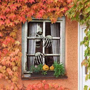 Skeleton Window Ghost - PopFun