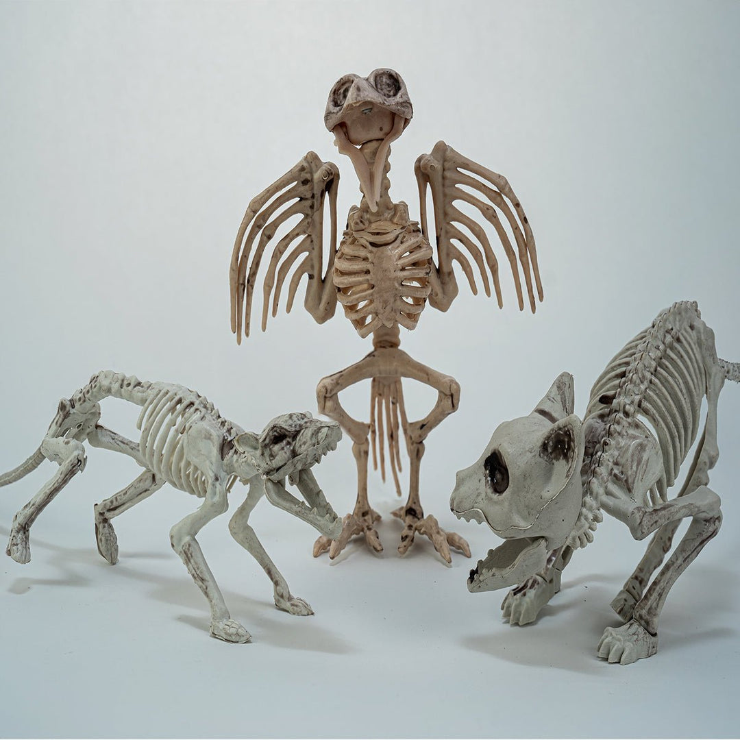 Skeleton And Shell Collection Tiny Skeleton Collection l Fun Little Toys – funlittletoys