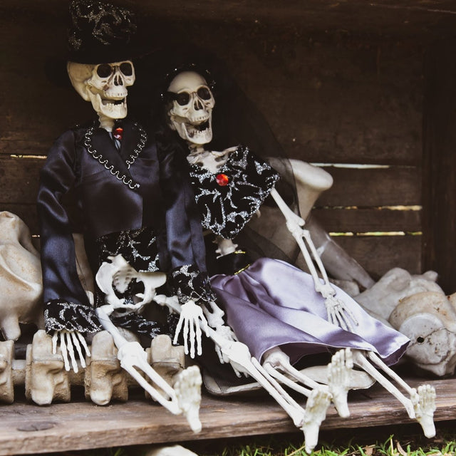 Wedded Skeletons - PopFun